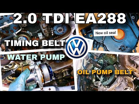 1.6 tdi ea288 oil pump belt replacement