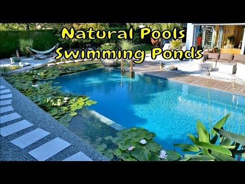 Natural Pools | Natural Swimming Ponds | Design ideas | Incredible Design