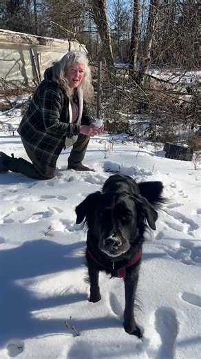 Cold Stratification Techniques for Successful Seed Germination