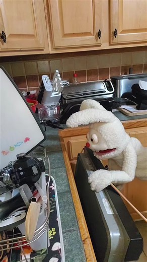 No babies were harmed in this scene #badrabbits #foryou | rabbits