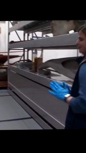 We're talking about canes from our collection! Back in the 1800s, canes were not only used for walking, but were a crucial part of the male wardrobe. Krystal shows us some stylish canes made out of some seriously strange materials.#whatisit #MuseumsOfInstagram #Artifacts #Mystic #MysticSeaportMuseum #Connecticut #NewEngland #MaritimeHistory #FindYourSeaStory