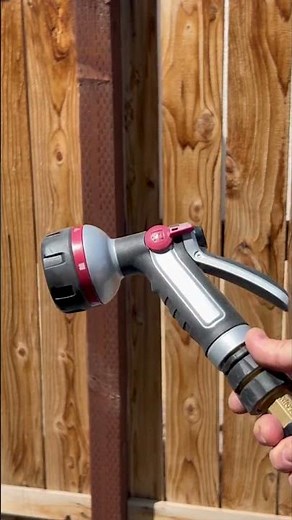 Quickly Remove a Wasp Nest!