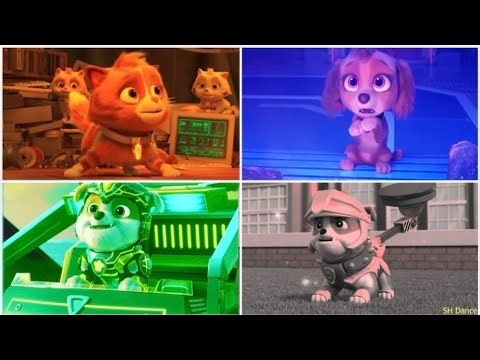 Coffin Dance Animation & Funny Edits – Must Watch