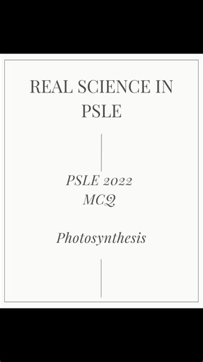 Exploring Photosynthesis in Variegated Plants