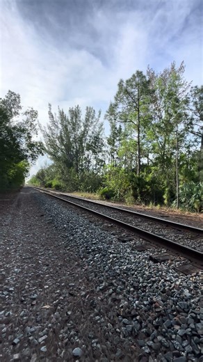 Horn Salute From Friendly Amtrak SIlver Meteor Engineer