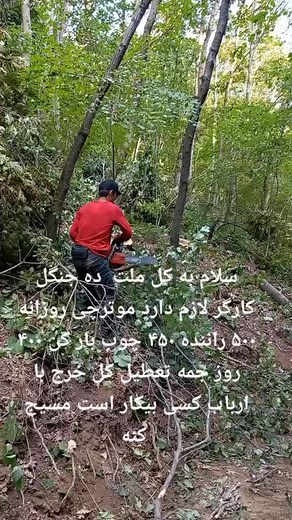 Tree Cutting Techniques in Dense Forest Areas