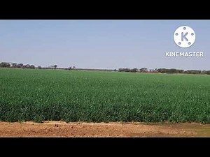 CENTRE-PIVOT IRRIGATION IN SOUTH AFRICAN FARMS