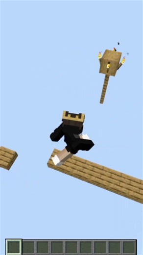 Minecraft but...💀