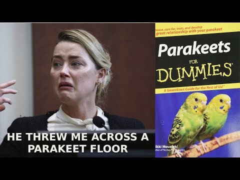 Amber Heard: Parakeet Floors