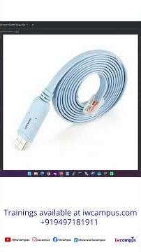 Network Switch Ports & Connectivity