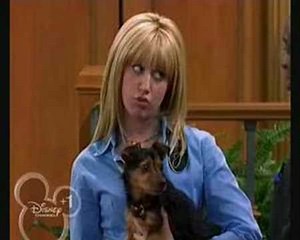 Esteban through the Series #5