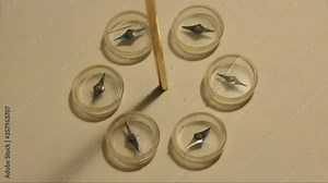 Magnetic field around a conductor. The compass needles align to the field generated by the current, rather than the geomagnetic poles. The current direction is changed, and the needles turn around.