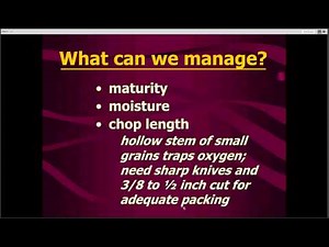 Making Small Grain Silage