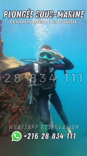 Plongée Sous-Marine lors de vos vacances en Tunisie ! 🇹🇳🐠🌊🤿