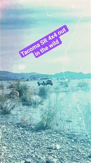 2021 Toyota Tacoma SR 4x4 out in the Wild #tacoma_sr_life #chooseadventure #roadlesstraveled