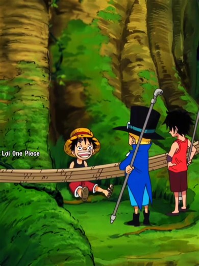 #cauloionepiece2003 | ONE PIECE