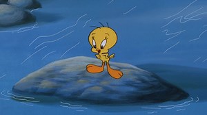 5.4K views · 177 reactions | A classic case of Cat & Monster  Start your weekend right with Sylvester and Tweety Mysteries at 11:30am EST ️ #animatedclassics #sylvester #tweety #discoveryfamilychannel #childhoodmemories #looneytunes #nostalgia | Discovery Family Channel | Facebook