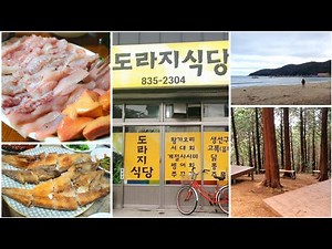 (고고진)💚고흥여행/고흥맛집/녹동항맛집/고흥 정다운식당 황가오리맛집/고흥 도라지식당/봉래산 편백숲/벌교꼬막맛집 태박산맥
