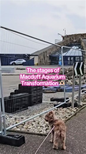 Transformation Stages of Macduff Marine Aquarium