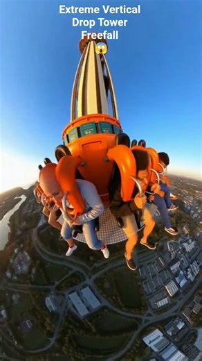 Extreme Vertical Drop Tower Freefall 😱 #DropTower #ExtremeThrill #FreeFall #ViralShorts