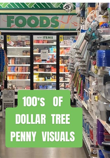 Discovering Dollar Tree Penny Visuals
