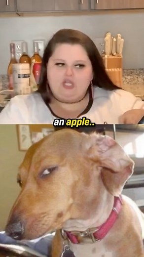 Reposter Ban on Instagram