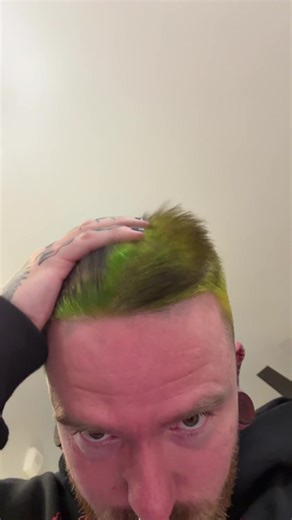 Creative Alternative Hair Styles and Dye Techniques