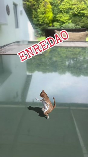 Los Picus Oficial - Enredao