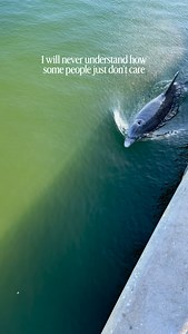 41K views · 33K reactions | Our one and only home  This incredible...