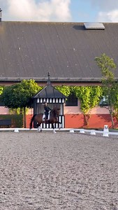 Jazzir Elton born in 2013 after Blue Hors Romanov (Stallion of the year 2011 plus Elite Stallion in Danish Warmblood) and well recognized Jazz, one of the most influential dressage stallions in modern history. Lovisa Wessblad in the saddle and Mathilde Hannell behind the camera. For more information about the gelding call 46 70-991 66 32. Music: @epidemicsound | Hannell Dressage Stable