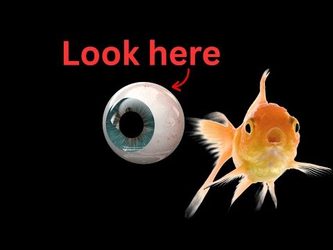 Boost Your Focus FAST with This Simple Test.