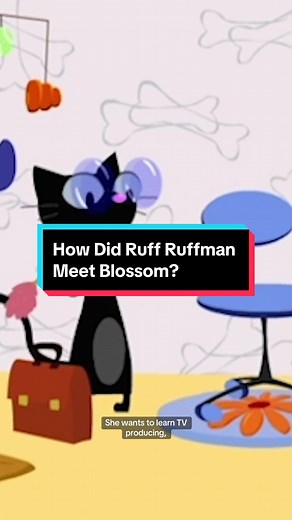 And the most iconic cat and dog duo was born 🐶🐱 #FetchWithRuffRuffman #PBSKids #Dogs #Cats #Gameshow