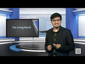 Class 11. Biology: Chapter 1. The Living World- Classification