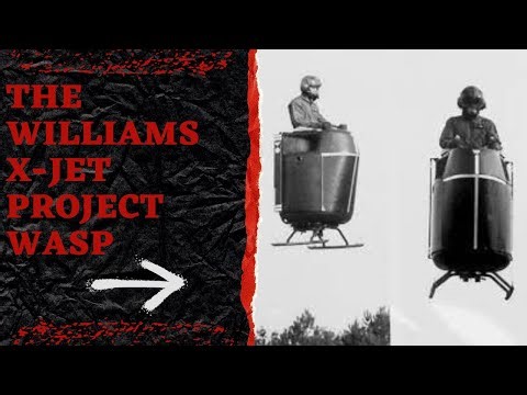 THE FLYING WASP VTOL