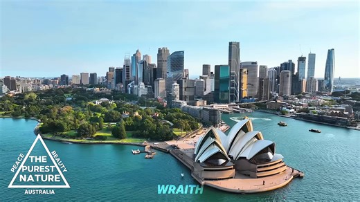 Exploring Australia’s Insect Diversity