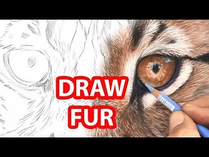 How To DRAW FUR - MUST SEE WILDLIFE ART PASTEL TECHNIQUE - Jason Morgan Art