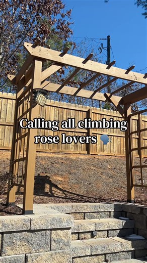 Best Prolific Flowering Climbing Roses for Your Garden