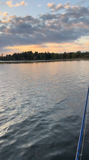 It’s always fascinating to see muskies swimming with their head out of the water! This is the first time I got a video of it, cool to see! #muskie #musky #fallfishing | Josh Teigen - Fishing & Hunting