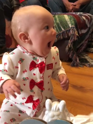 Funniest reaction🤣