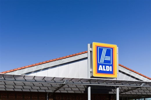 At just £60, Aldi's scarifier could be the tool your garden is crying out for this spring - Netmums