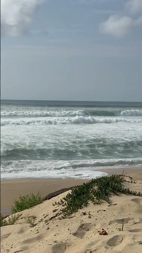 Houle cyclonique… ou simple tempête d’hiver ? 🌊