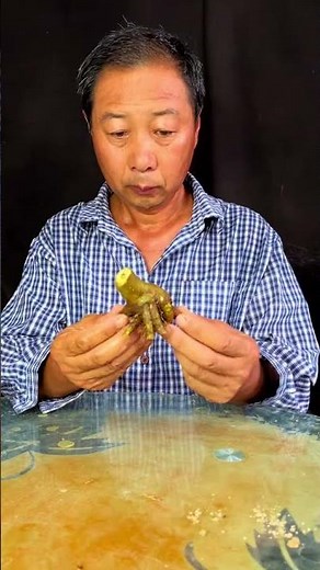 The foundation of bonsai pruning # Bonsai盆景修剪的基础#盆景