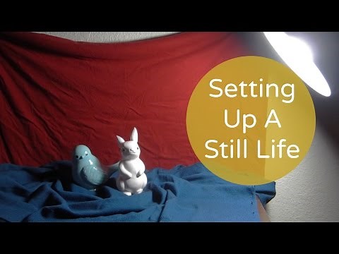 Setting Up A Still Life