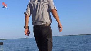 9.3K views · 134 reactions | On this episode of Beyond the Tide,...