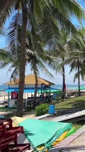 🌴 Beautiful Beach Vibes in Da Nang, Vietnam