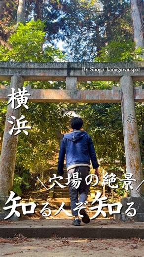 しょうご｜絶景巡る神奈川さんぽ on Instagram: "@shogo_kanagawa.spot ←他の神奈川のスポット情報はこちら ＿＿＿＿＿＿＿＿＿＿＿＿＿＿＿＿＿＿＿＿＿ 朝比奈熊野神社/横浜 📍 〒236-0034 神奈川県横浜市金沢区朝比奈町578 森の中の細い道を歩くと辿り着くひっそりと佇む神社は、 鎌倉市と横浜市の境界に位置する知る人ぞ知るパワースポットです☘️ 歴史と自然が融合した散策コースでもあります✨ 見どころも満載 ①山道を歩いて辿り着く神秘的な神社⛩️ ② 国の史跡の「朝夷奈切通」 ③ 名木古木に指定されている巨木🌲🌳 実は…はイチョウ（3本）やスダジイなどが横浜市の名木古木に指定されている巨木なんだって！！ 紅葉の時期もおすすめかも？！🍁 是非足を運んでみてくださいね✨ 🚌 🚶アクセス ・鎌倉駅から京急バス「十二所神社」下車・徒歩約25～30分 ・金沢八景駅からバス「朝比奈」下車・徒歩約20～30分 ・京急逗子線「六浦駅」から徒歩約50～60分 _____________________________ \神奈川の魅力溢れるスポット巡り/ ・