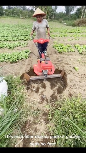 asian farmer’s SECRET to MASSIVE crop rows 🌱 This is how efficient smallscale farming works! 💯 See the technique an Asian farmer uses to prepare HUGE rows for planting in half the time. This compact machine is revolutionizing agriculture by making crop rotation and bed preparation incredibly fast. Maximizing yield and minimizing labor! 💪Double tap if you love seeing efficient farming methods! Which country do you farm in? 🌍 #farmer #minitiller #tractor #agriculture #fblifestyle | Rinu Izaz F