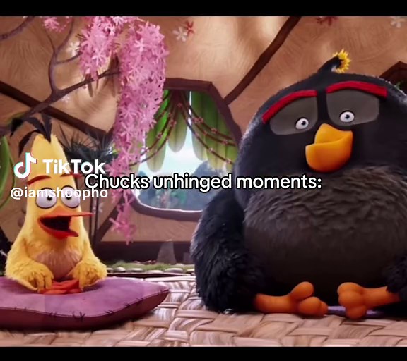Angry Birds Movie: Chuck's Unhinged Moments