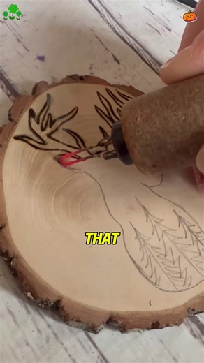 Child's Destructive Prank at Summer Camp