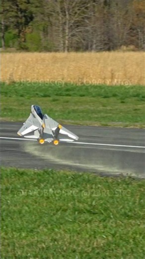 F-14A Tomcat High Alpha Pass #aviation #rc #rcplane